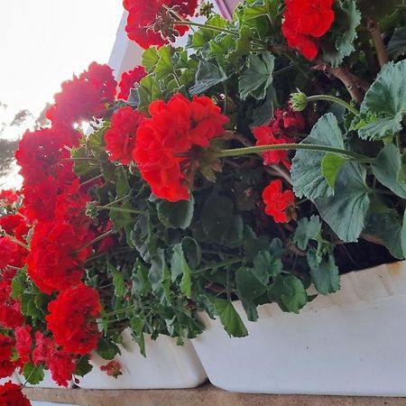Finca Sa Cova De Mallorca Sencelles Exterior foto