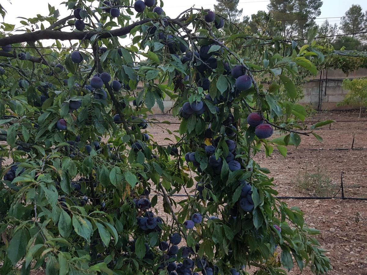 Finca Sa Cova De Mallorca Sencelles Exterior foto