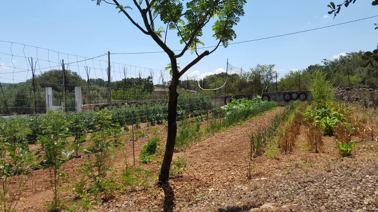 Finca Sa Cova De Mallorca Sencelles Exterior foto