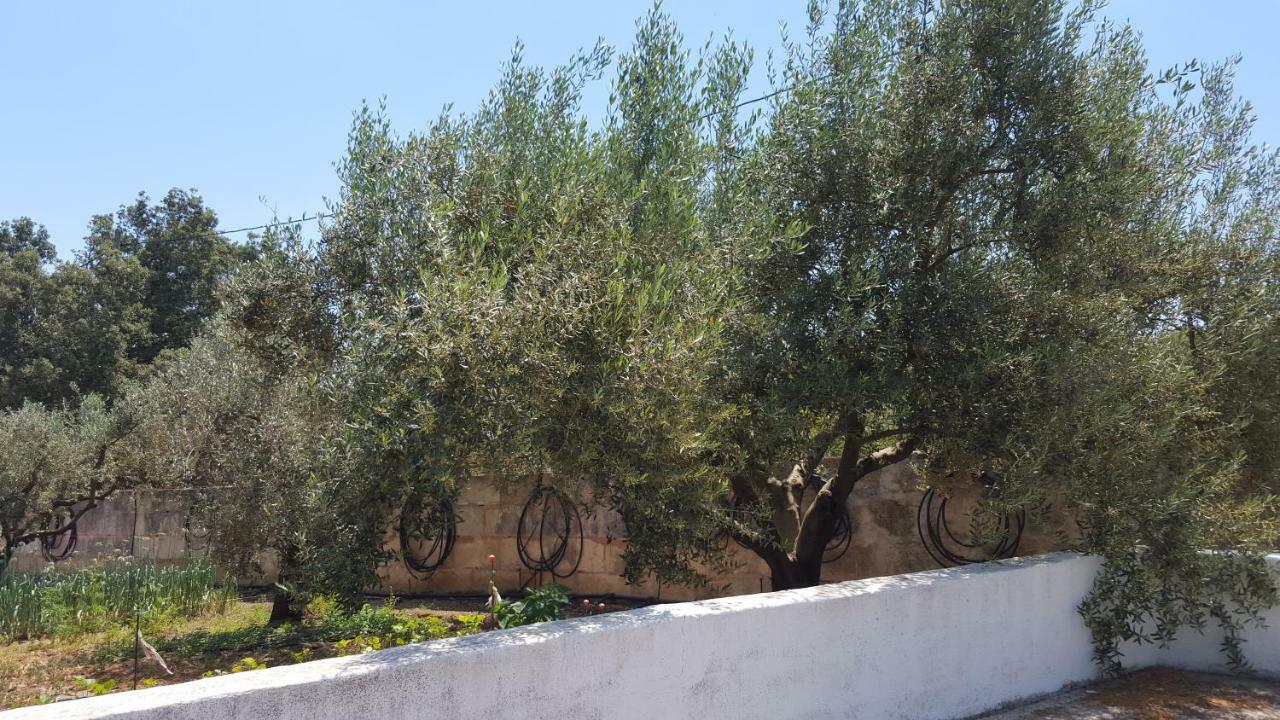 Finca Sa Cova De Mallorca Sencelles Exterior foto